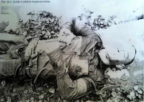 Ewa Tylman czy nie? Dlaczego identyfikacja jest trudna? Kim jest piąta śmiertelna ofiara odnaleziona w Warcie? +18