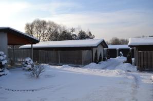 Fala hejtu zalała internet! Czy informacje na temat Schroniska Dla Zwierząt w Chełmku są prawdziwe? Sprawdźmy to!