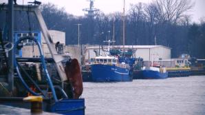 [VIDEO] Trafiające do Bałtyku zanieczyszczenia zostają w nim nawet 30 lat. Największy wpływ na jego zasoby mają konsumenci