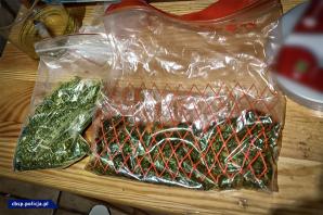 [VIDEO] Rozbity gang tworzył laboratoria narkotyków, plantacje konopi i przemycał narkotyki z Holandii do Polski