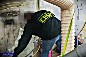 [VIDEO] Laboratorium metamfetaminy ukryte było pod kojcem dla PSÓW