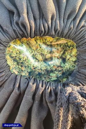 Awionetka miała służyć do przemytu narkotyków z Hiszpanii do Polski - CBŚP i PK przejęły marihuanę i samolot