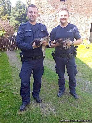 Niecodzienna interwencja dzielnicowych z Kamieńca Ząbkowickiego