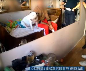 Prowadził auto pod wpływem środków odurzających, a w domu miał nielegalne papierosy