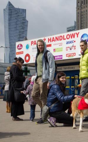 Psia wystawa w Warszawie 