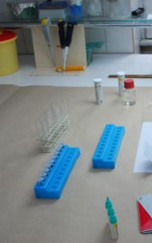 Sprawca rozboju ustalony po DNA 