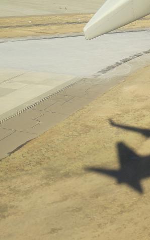 Aż 40 procent młodych Polaków rozważa emigrację zarobkową