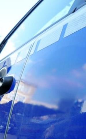 Kupili 5,5 tysiąca świń. Dokonali oszustwa na dużą skalę! 