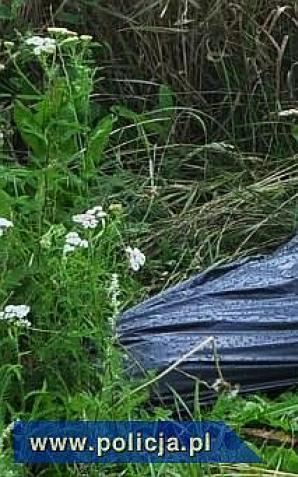 Znęcali się nad zwierzętami! Zabili psa!