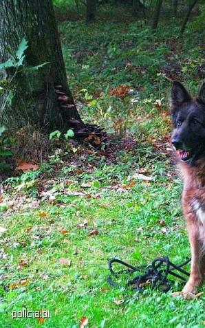 Po ośmiu latach służby Bardot przeszedł na zasłużoną emeryturę