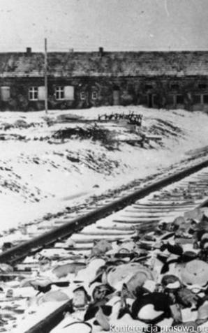 Konferencja prasowa oraz prezentacja bazy załogi SS KL Auschwitz TRANSMISJA LIVE – Kraków, 30 stycznia 2017