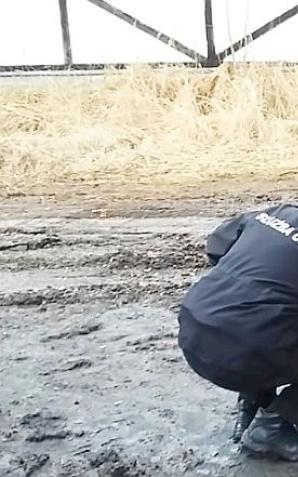 Wyłudzili podatki i wyprali 4 mln złotych na odbarwianiu oleju opałowego