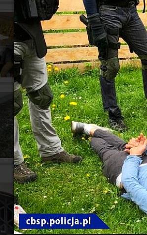 [VIDEO] Uderzenie polskiej CBŚP i policji czeskiej - zlikwidowane plantacje, zabezpieczona marihuana