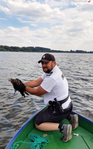 Policjanci uratowali tonącego drapieżnika
