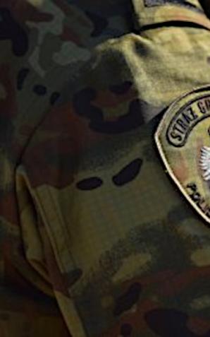 Szefowie firmy, obywateli Ukrainy, pracowali nielegalnie. Zatrudnione obywatele Ukrainy, Mołdawii, Białorusi oraz Gruzji były zatrudnione niezgodnie z obowiązującymi przepisami 