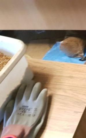 Papierosy z przemytu białoruskiego zabezpieczone po pościgu