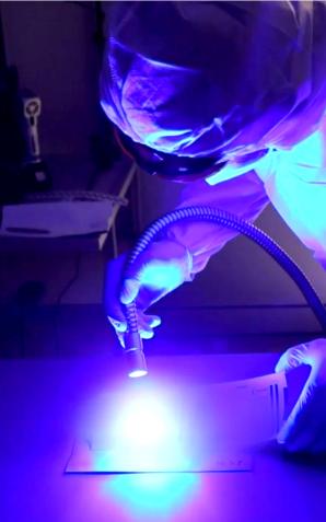 [VIDEO] Dilerzy fentanylu w rękach mazowieckich policjantów