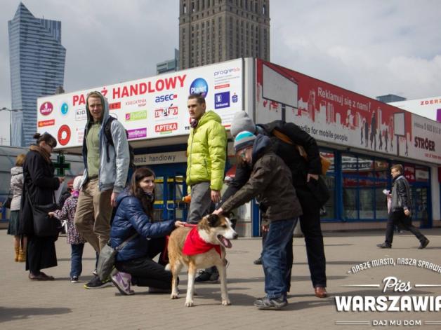 Psia wystawa w Warszawie