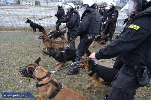 Spektakularne ćwiczenia na poznańskim stadionie
