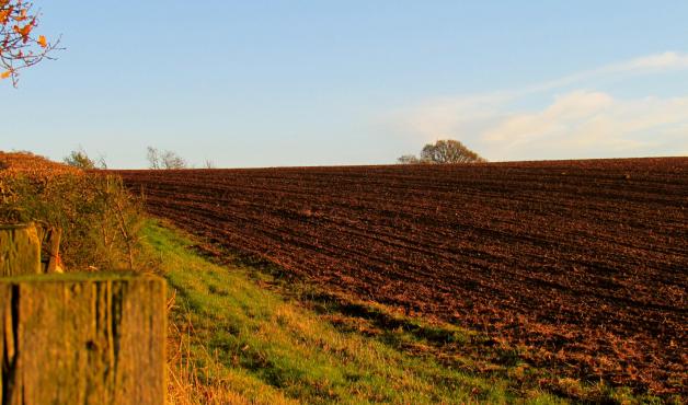 Rosną potrzeby inwestycyjne rolników. Zakup maszyn i urządzeń najczęściej finansują pożyczką