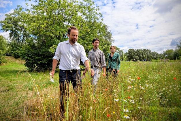 [VIDEO] Brzegi Wisły rozkwitają