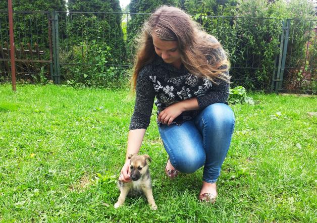 Ktoś wrzucił szczeniaki w worku do rzeki! Uratowała je matka! 