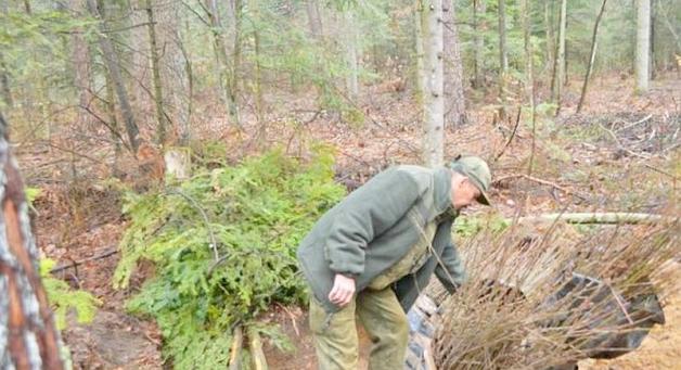 Sprzątnęli po huraganie, zaczynają sadzić las 