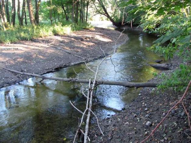 Bystrzyca Kłodzka: remonty koryt rzecznych zamiast nowych zbiorników