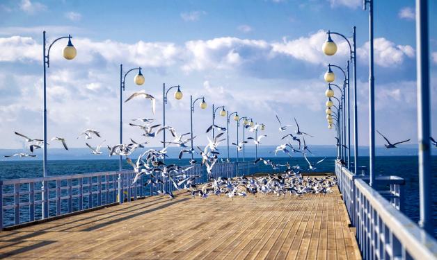 [VIDEO] Anna Korcz: Jurata jest najpiękniejsza na świecie. Skradła moje serce i przyjeżdżam tu od 30 lat