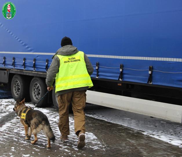 [VIDEO] Shila pomogła wytropić 16 ton krajanki tytoniowej wartej prawie 12 mln zł